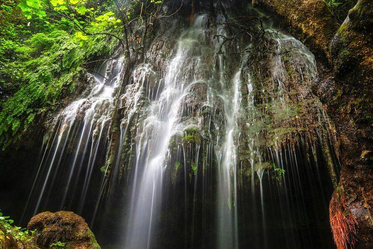 Ormanın içindeki 'gizli cennet' ziyaretçilerini büyülüyor G2