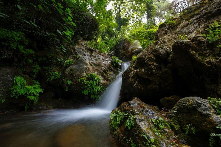 Ormanın içindeki 'gizli cennet' ziyaretçilerini büyülüyor G5