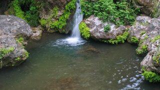 Ormanın içindeki 'gizli cennet' ziyaretçilerini büyülüyor