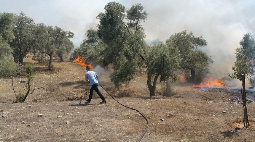 B&uuml;y&uuml;kşehir&rsquo;den Sigara İzmariti Uyarısı