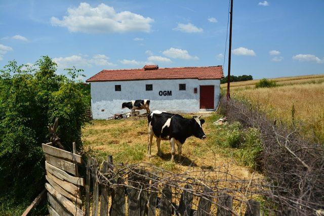 Balıkesir’de orman köylüsüne 6 milyon faizsiz destek