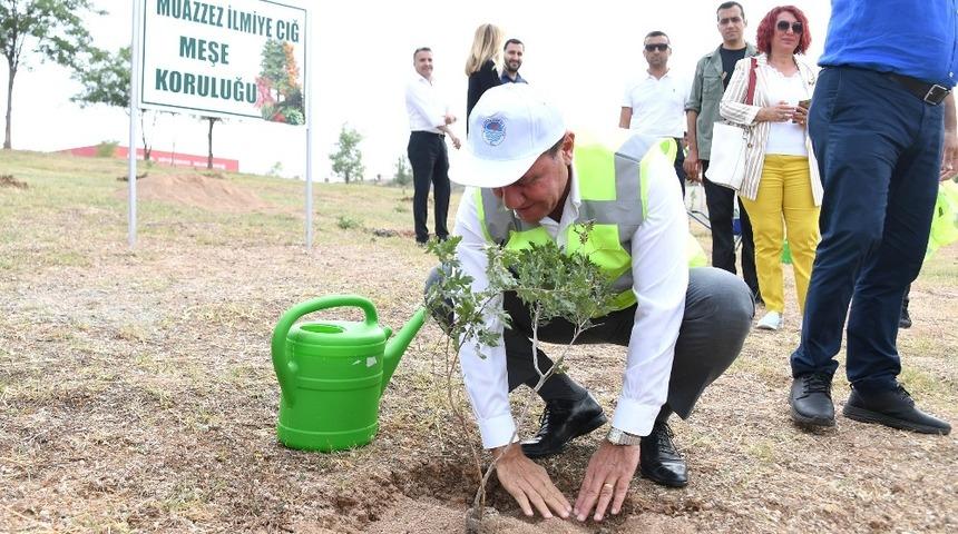 Muazzez İlmiye &Ccedil;ığ i&ccedil;in 105 meşe fidanı dikildi
