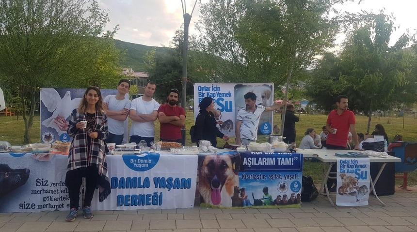 Tatvan&rsquo;da sokak hayvanları yararına kermes