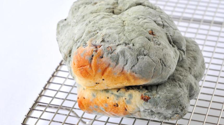 Her yıl 400 bin insan bu yüzden hayatını kaybediyor