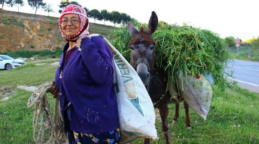 Ayşe Teyze&rsquo;den gen&ccedil;lere nasihat; Sigortasız &ccedil;alışmayın