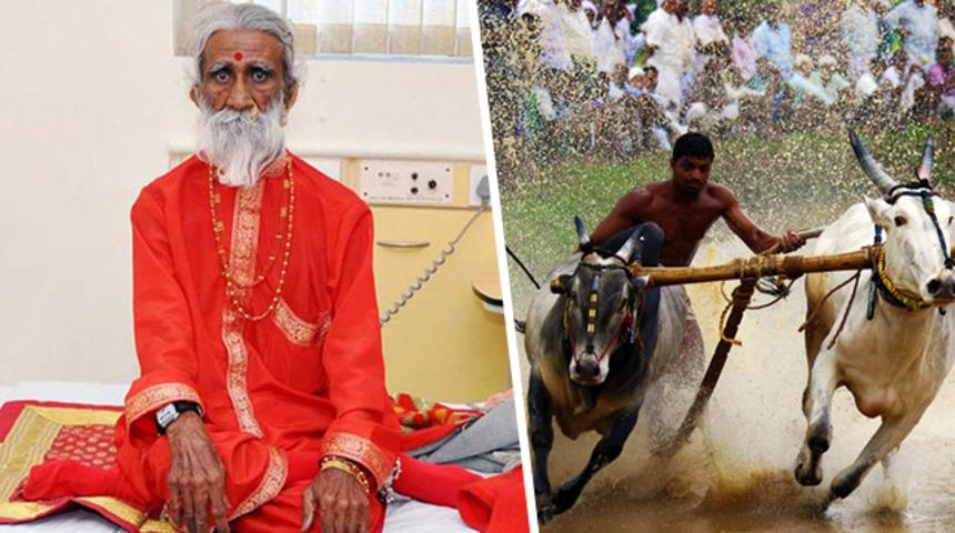 Bu gariplikler sadece Hindistan'da olur! 80 yıl oruç tutan adam, boğa sörfü ve daha neler neler...