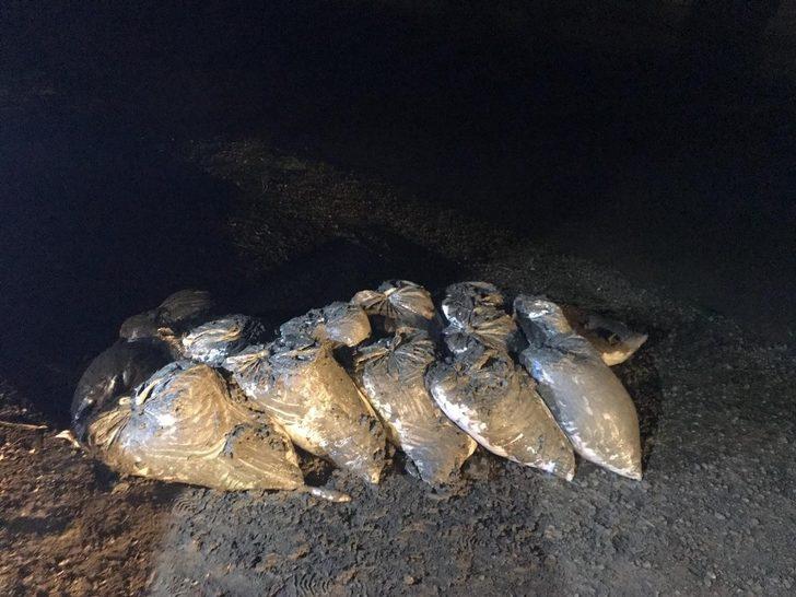 Van’da 10 bin 500 kilo kaçak avlanmış balık ele geçirildi G2