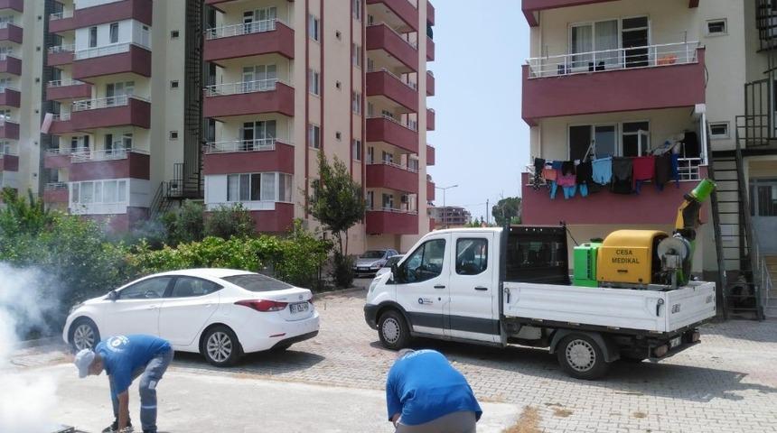 Sinekle yoğun m&uuml;cadele devam ediyor