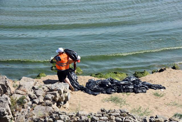 Karadeniz'in en uzun sahili yosunlardan temizleniyor