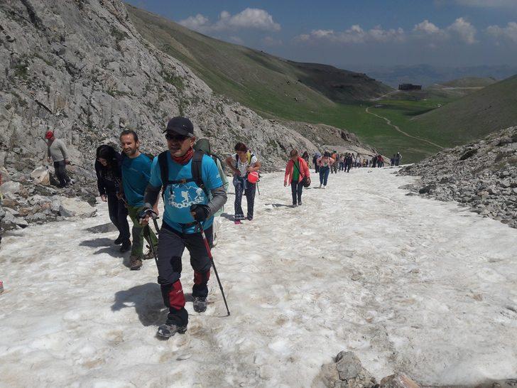 Dünyada sadece orada var! Görebilmek için kilometrelerce yol katediyorlar G2