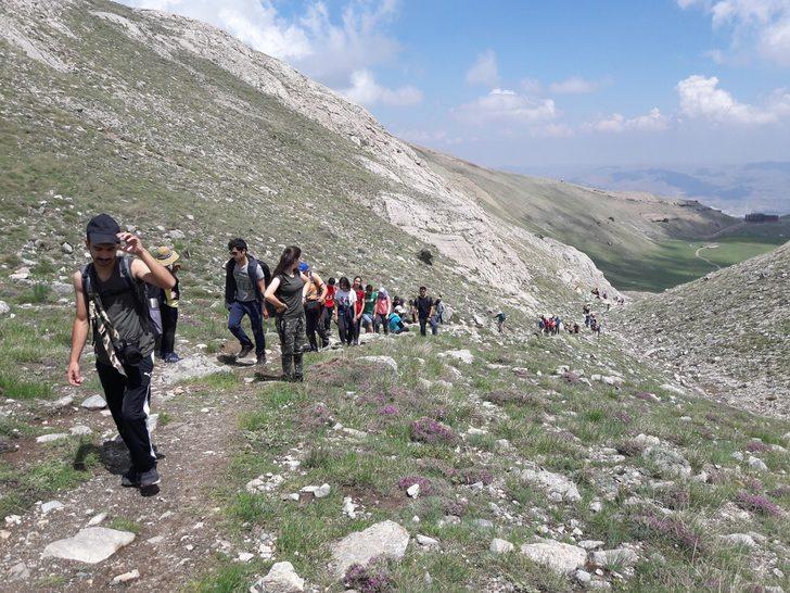 Dünyada sadece orada var! Görebilmek için kilometrelerce yol katediyorlar G3