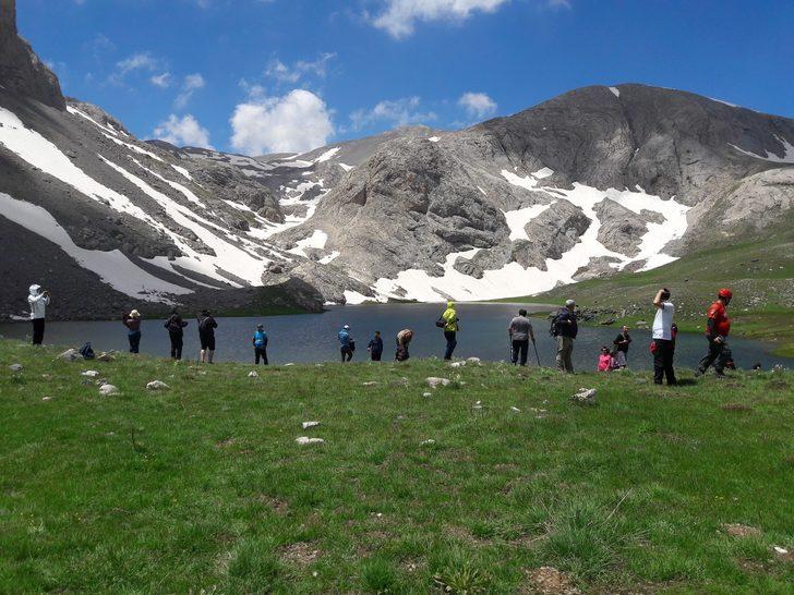 Dünyada sadece orada var! Görebilmek için kilometrelerce yol katediyorlar G4