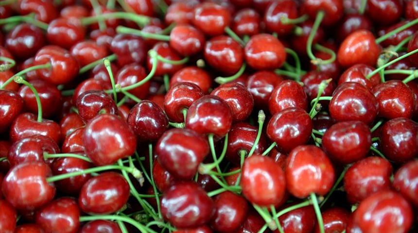  Çin'e kiraz ihracatı artık 'beklemeyecek'  