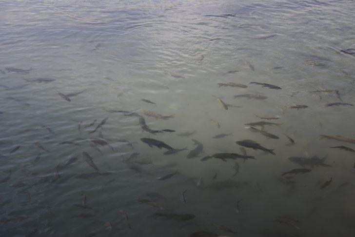 'Kutsal göl' hayran bırakıyor G1