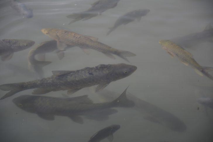 'Kutsal göl' hayran bırakıyor G2