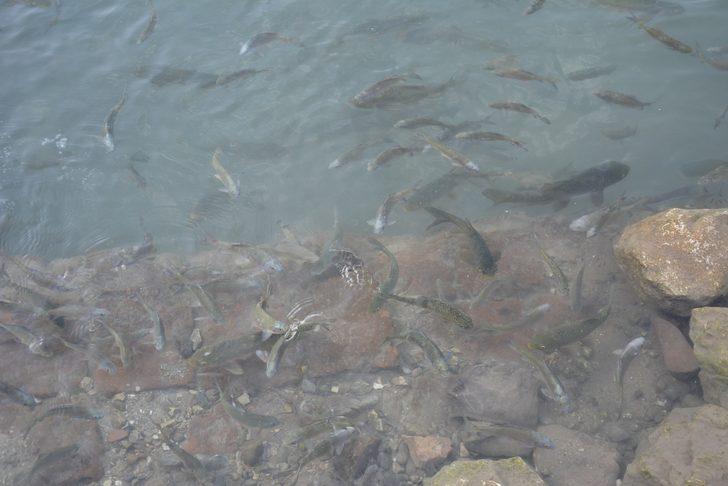 'Kutsal göl' hayran bırakıyor G3