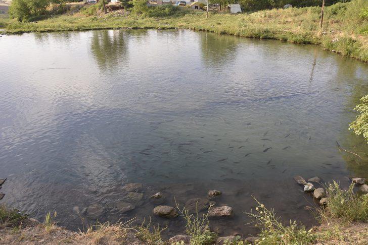 'Kutsal göl' hayran bırakıyor G4