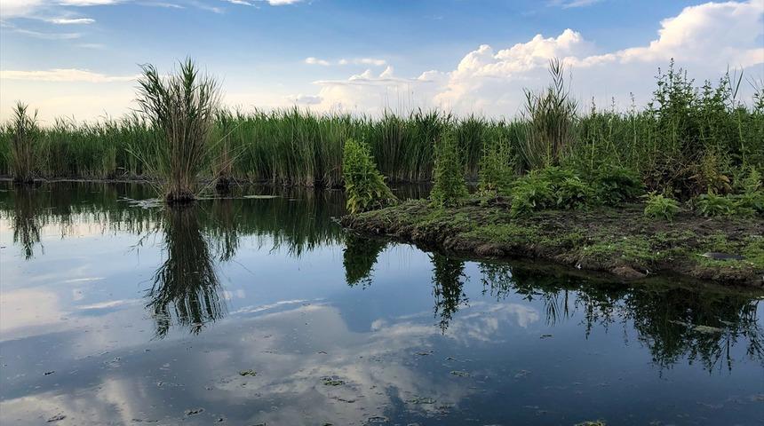 Doğaseverler buraya hayran kalacaksınız