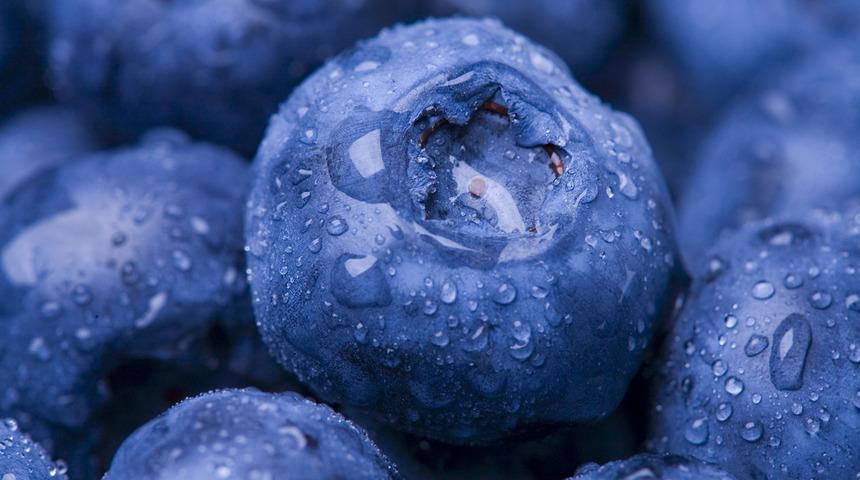 Yaban mersini yemeniz için 6 sağlıklı neden