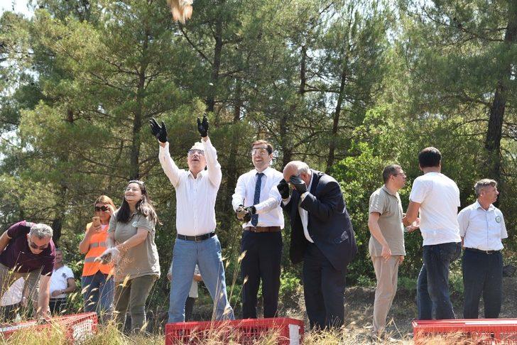 Doğaya bin keklik salındı G1