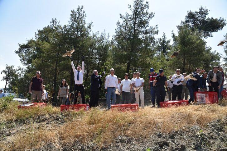 Doğaya bin keklik salındı G3