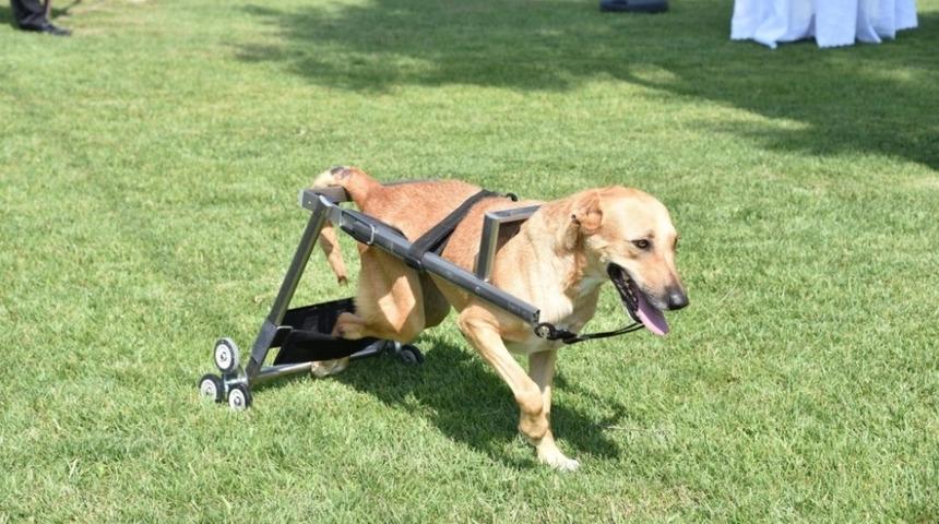 B&uuml;y&uuml;kşehirden asılsız haberler ve paylaşımlara yalanlama