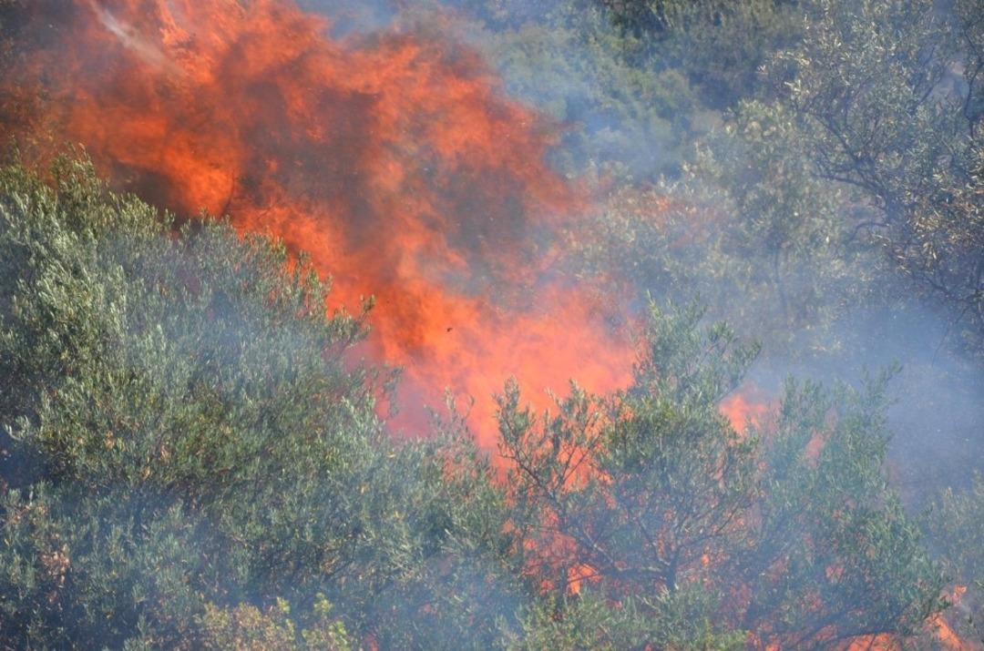 Ko&ccedil;arlı&rsquo;da arazi yangını