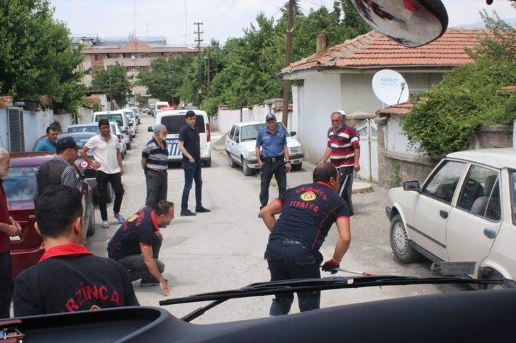 Otomobilin altına giren yılanı, itfaiye çıkardı G1