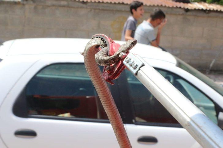 Otomobilin altına giren yılanı, itfaiye çıkardı G2