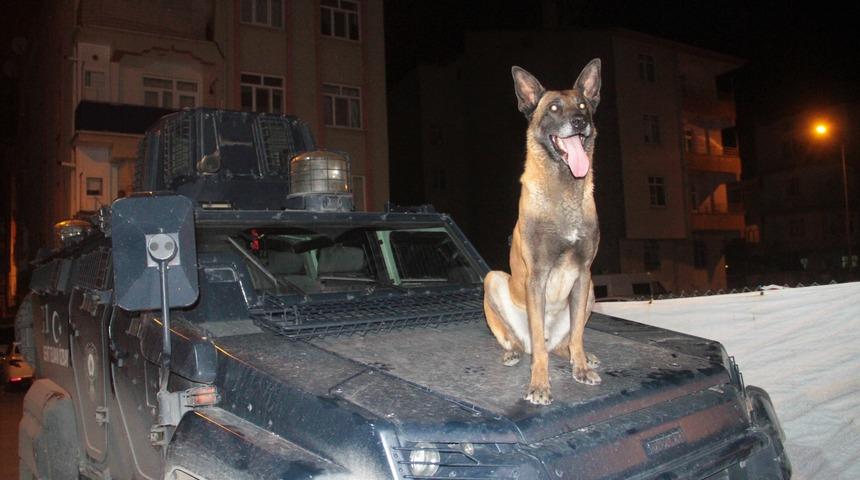 Bek&ccedil;ilere silah &ccedil;ekip eve saklandılar! &Ouml;zel Harekat Timi operasyonla yakaladı