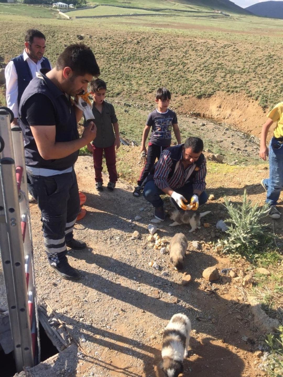 Van&rsquo;da k&ouml;pek kurtarma operasyonu