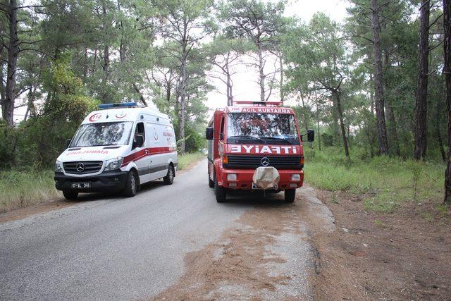 Polonyalı ailenin yürüyüş planı hastanede bitti