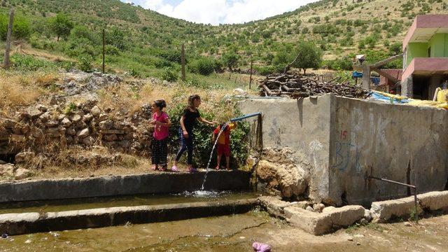 Gercüş’te 15 yıldır akmayan tarihi çeşmeden su geldi