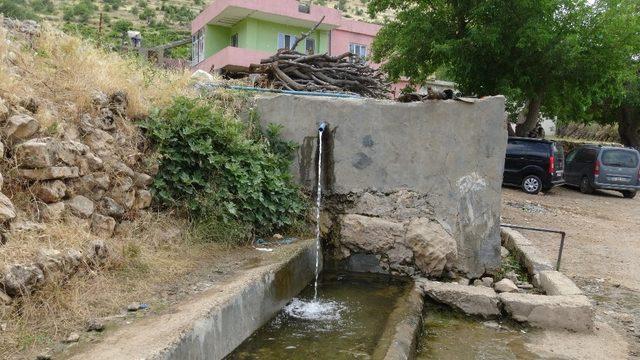 Gercüş’te 15 yıldır akmayan tarihi çeşmeden su geldi