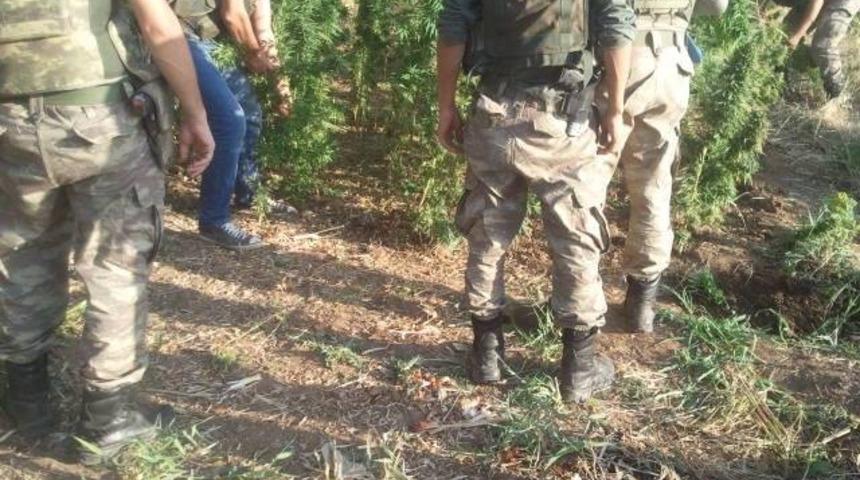 Sason&rsquo;da uyuşturucu şebekesine operasyon