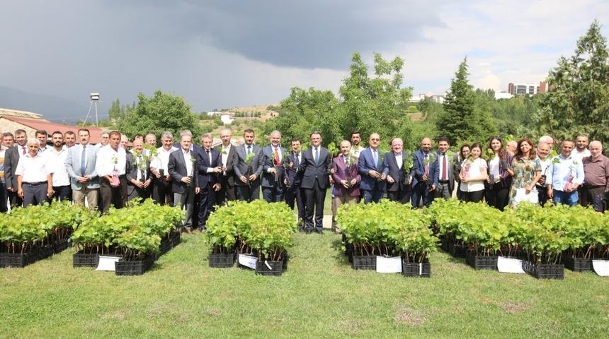 Tokat&rsquo;ta bağcılığa &ouml;nemli destek