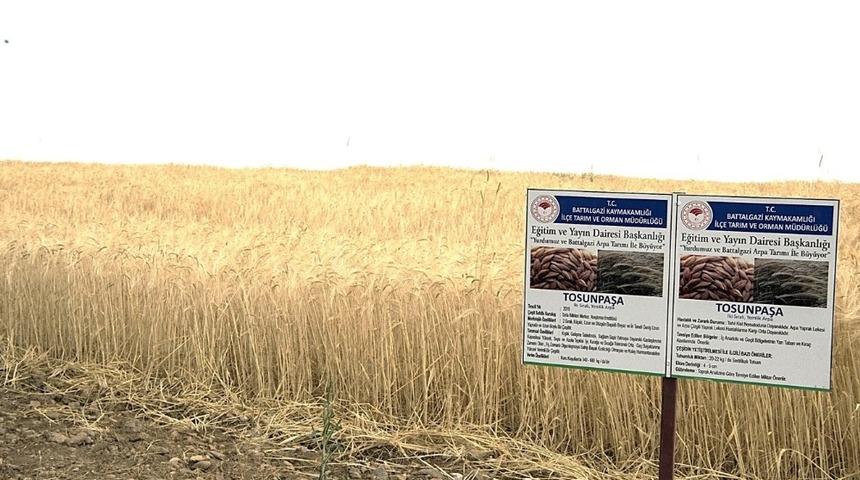 Beydağı&rsquo;na 3 yeni yeni arpa &ccedil;eşidi ekildi