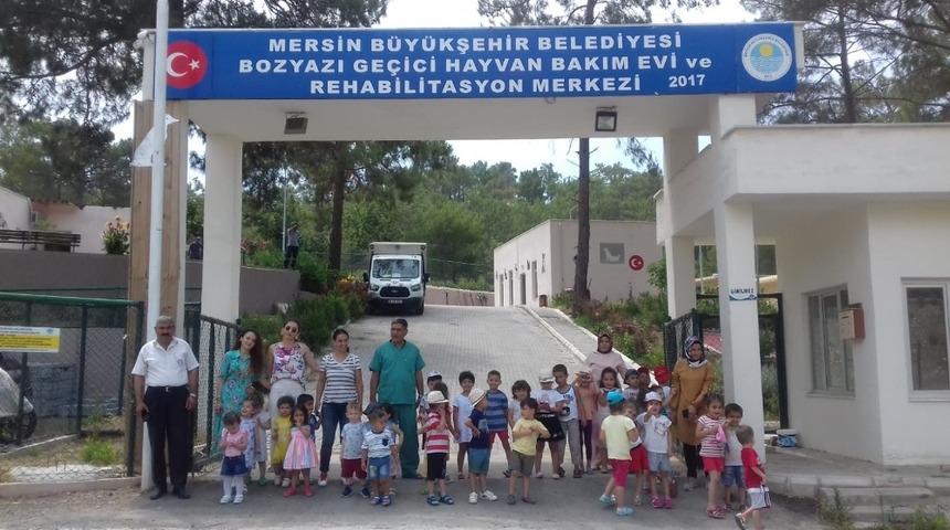 Minik &ouml;ğrenciler, hayvanları ziyaret etti