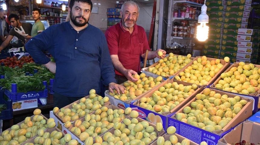 Malatya kayısısı tezgahlara indi!