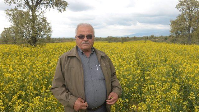 Üretici kanolaya geçti geliri 3 kat arttı