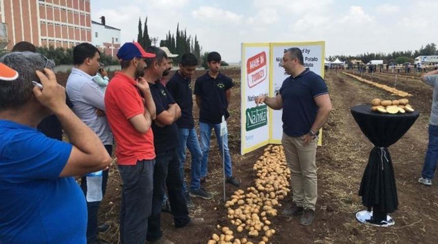 Yerli ve milli patates Nahita’da hasat başladı!