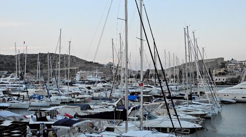 &Ccedil;eşme Marina, deniz patlıcanlarına ev sahipliği yapıyor