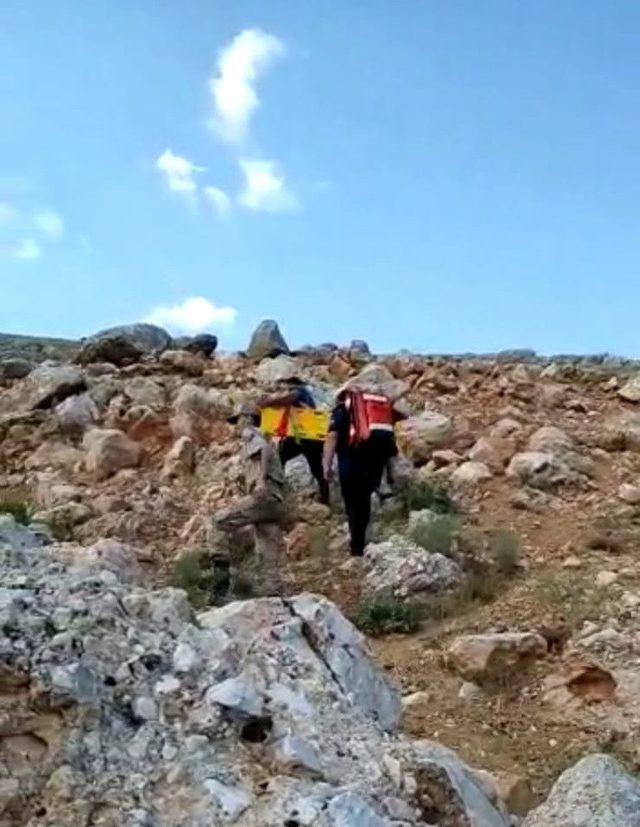 Mantar toplamak isteyen yaşlı adam baygın bulundu