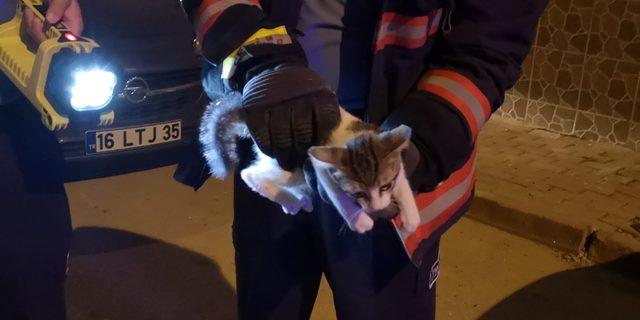 İnşaatta mahsur kalan yavru kediyi itfaiye kurtardı