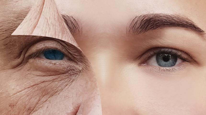 Genç kalmanın sırrı damarlardan geçiyor