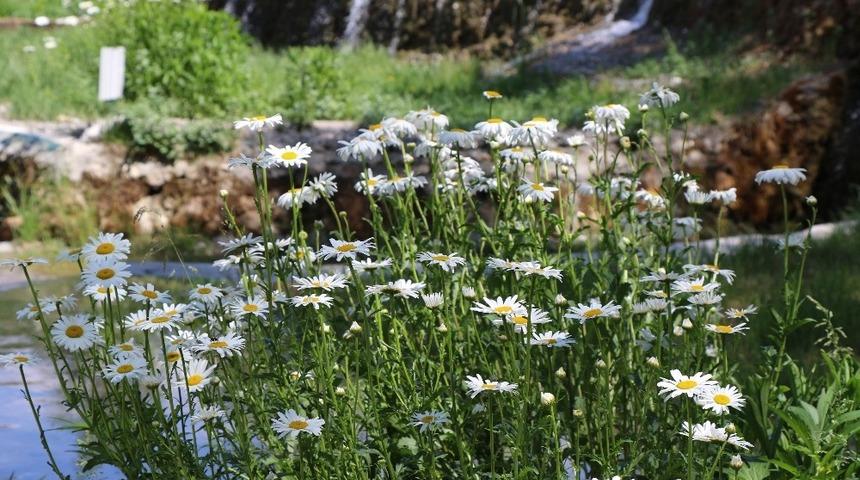 Doğu’da hava sıcaklığı mevsim normallerinin 2 ila 3 derece üzerinde seyredecek