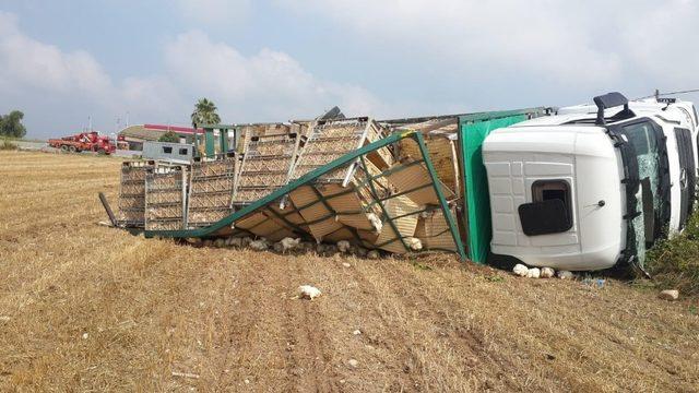 Osmaniye’de tır devrildi: 4 bin tavuk telef oldu