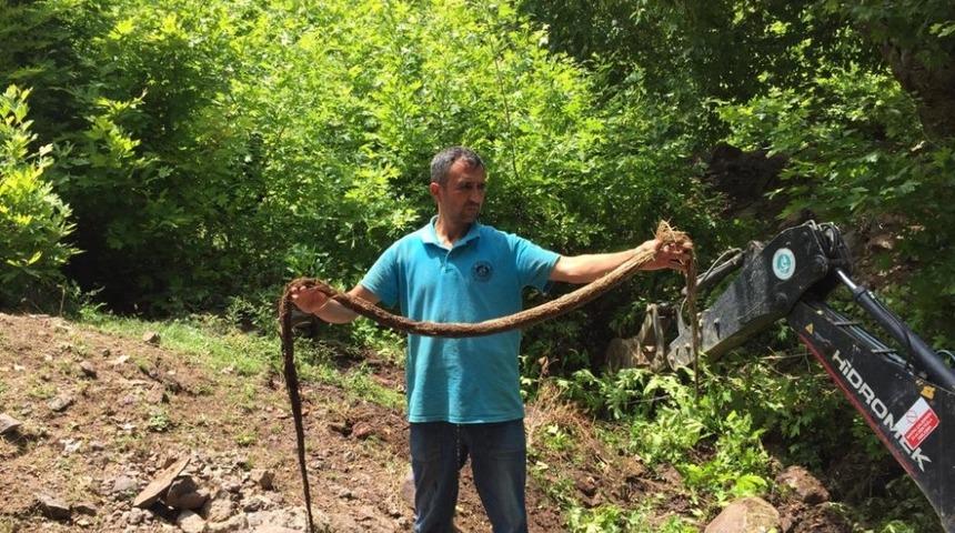 İ&ccedil;me suyu hattından &ccedil;ıkan kunduz şaşırttı