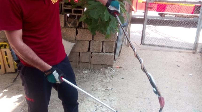 İkamette giren yılan paniğe neden oldu