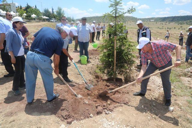 Odunpazarı bir orman daha kazandı